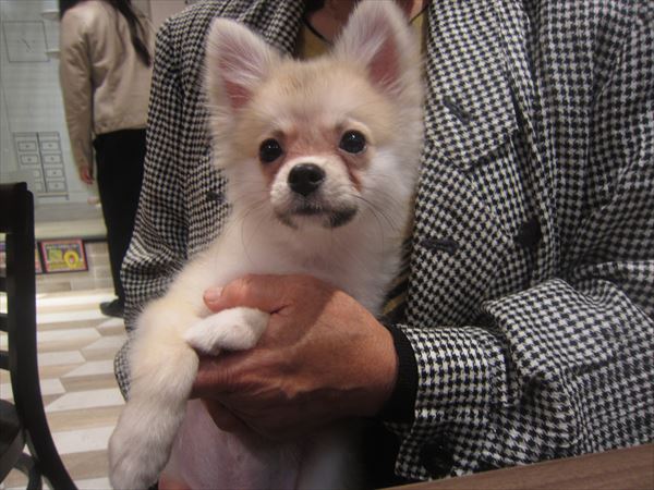写真