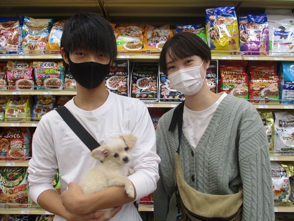 写真