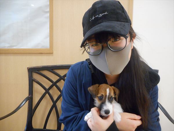 写真