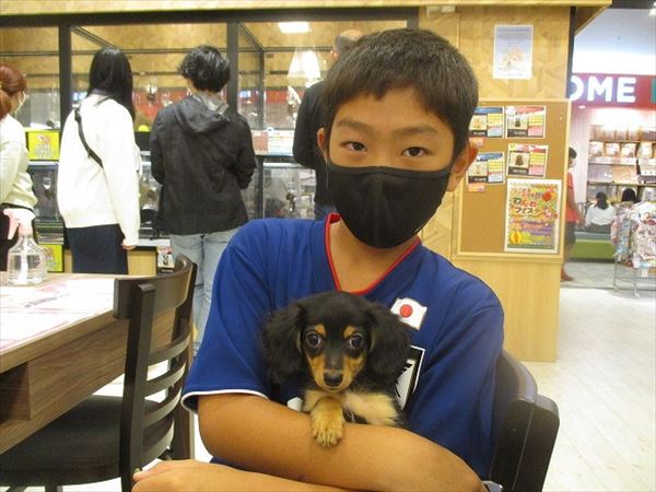 写真