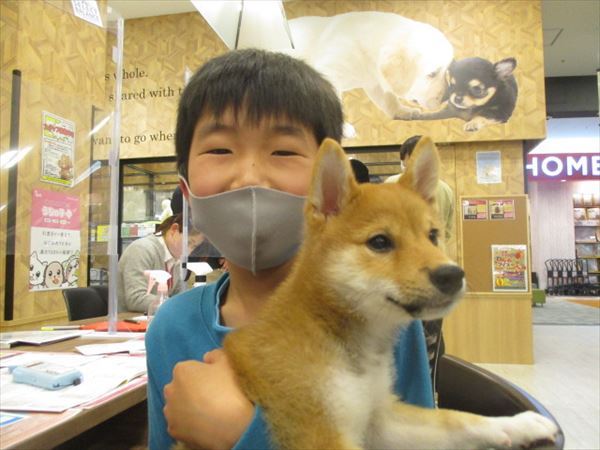 写真