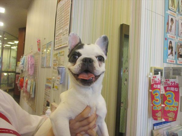 写真
