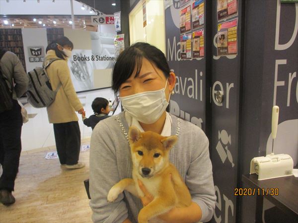 写真