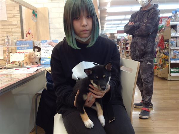 写真