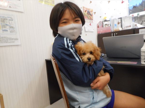 写真