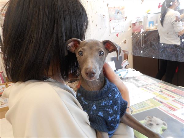 写真