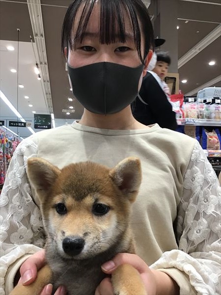 写真