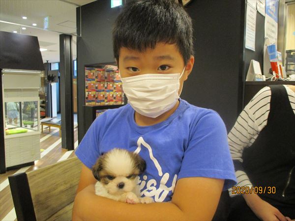 写真