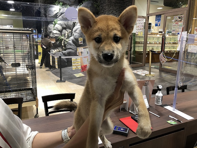 写真