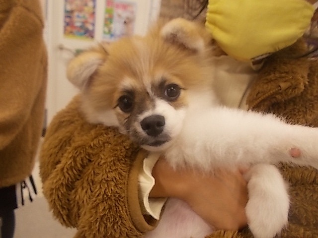 写真
