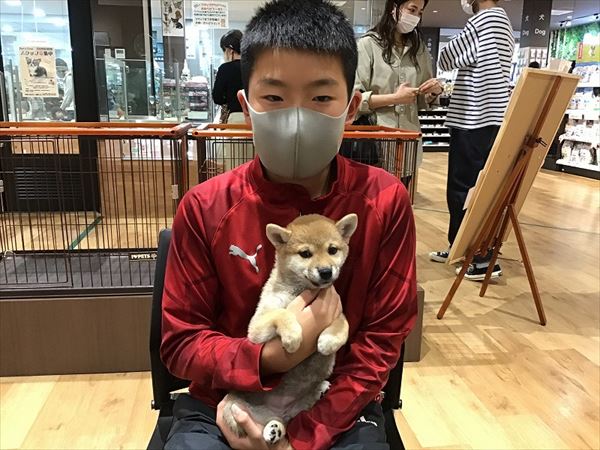 写真