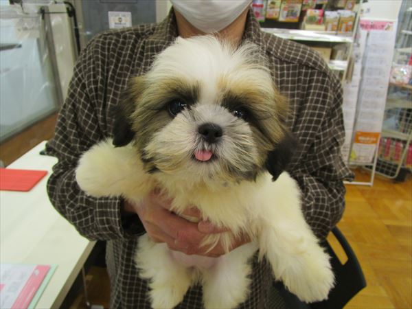 写真