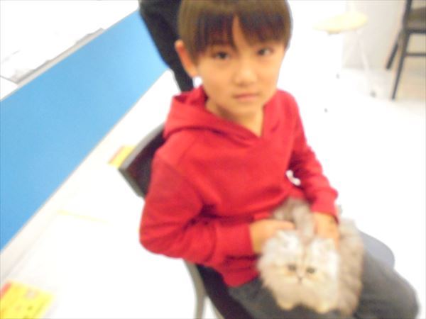 写真