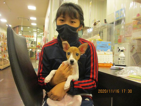 写真
