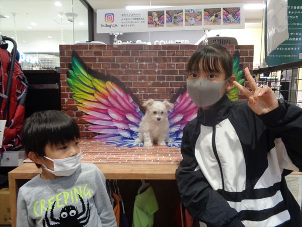 写真