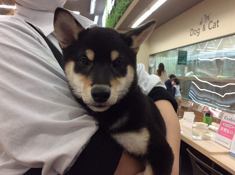写真
