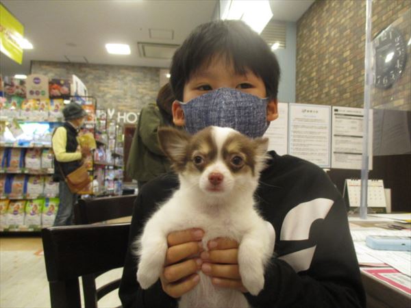 写真