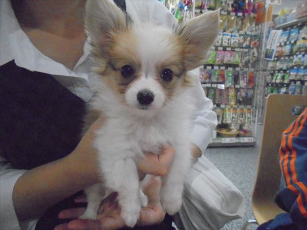 写真