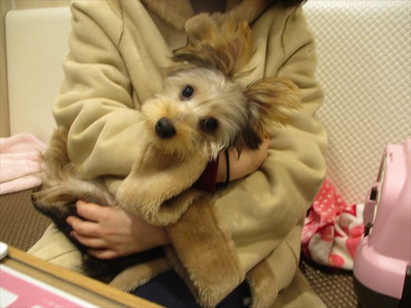 写真