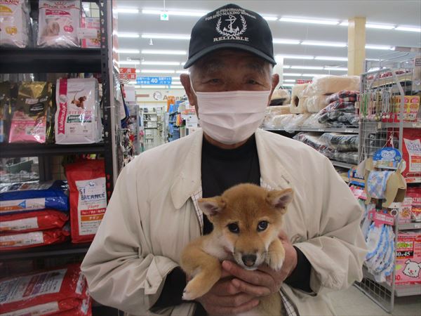 写真