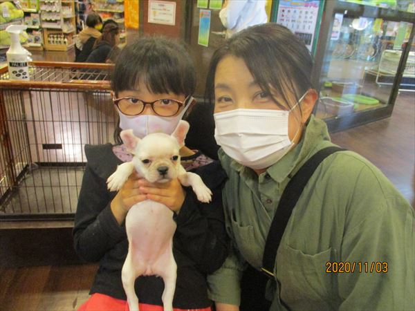 写真