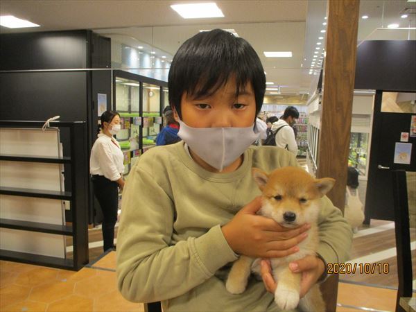 写真