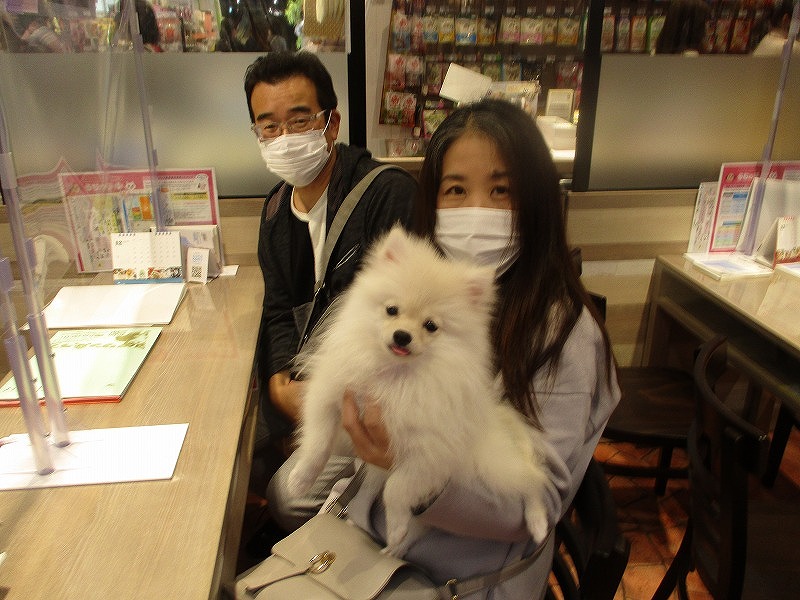 写真
