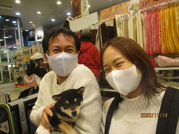 写真