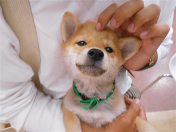 写真