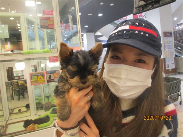写真