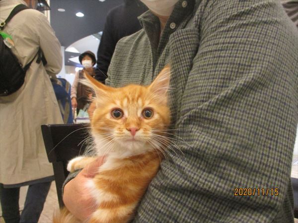 写真
