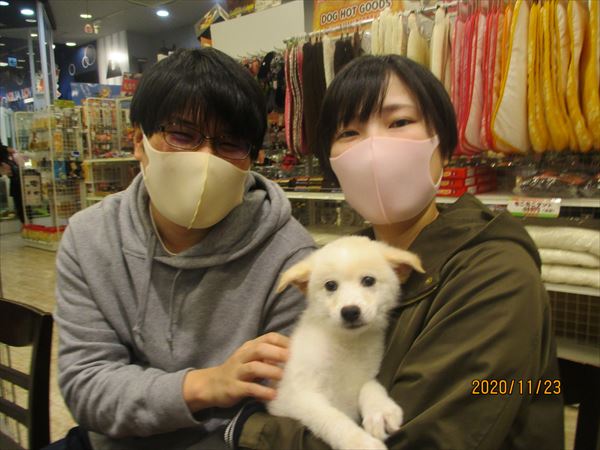写真