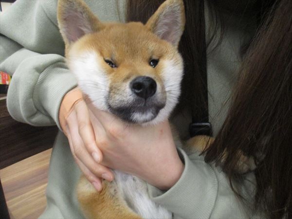 写真