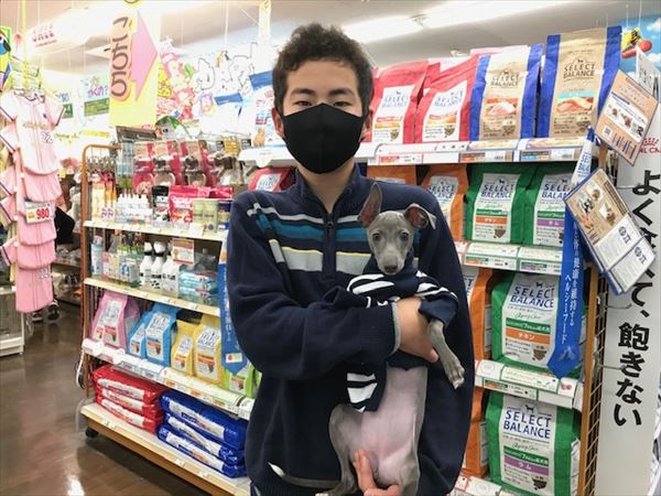 写真