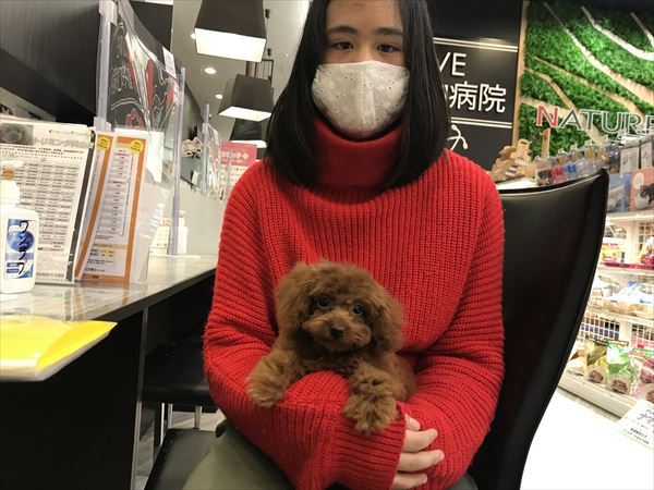 写真