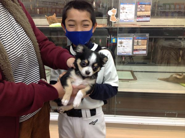 写真