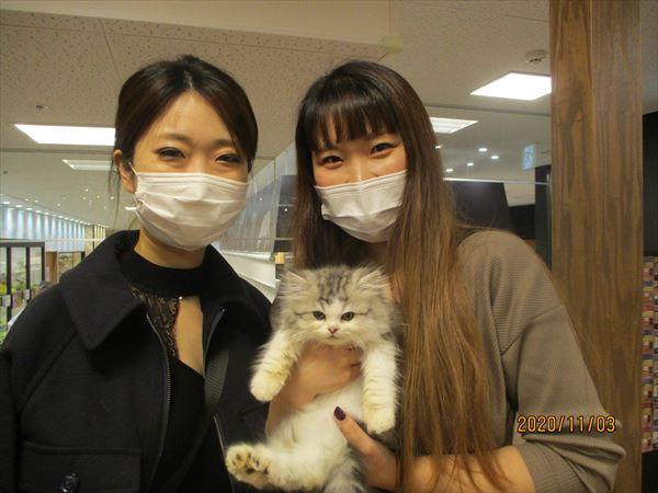 写真
