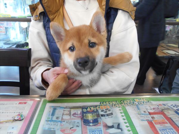 写真
