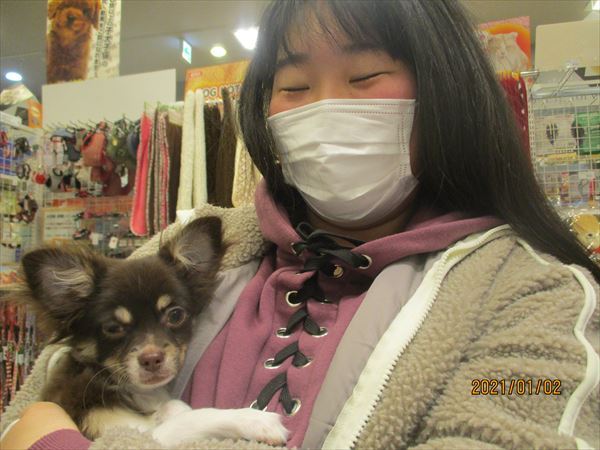 写真