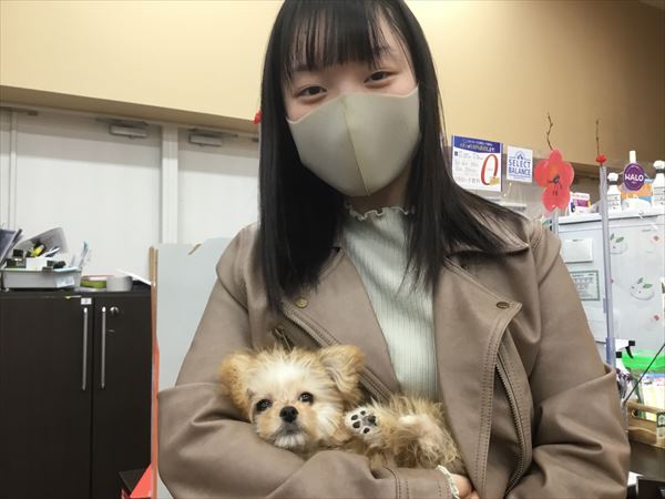 写真