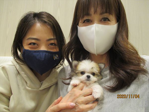 写真