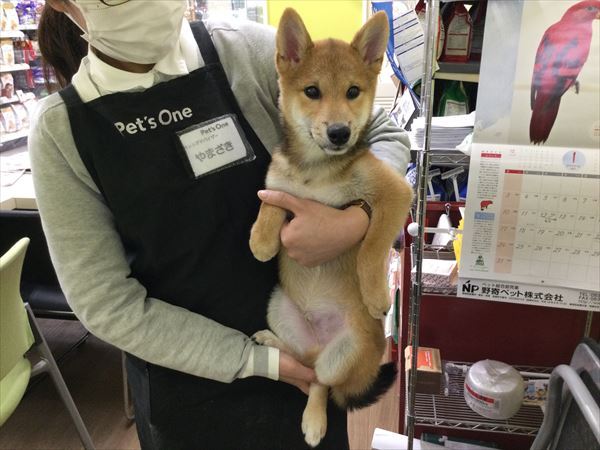 写真