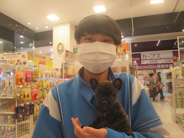写真