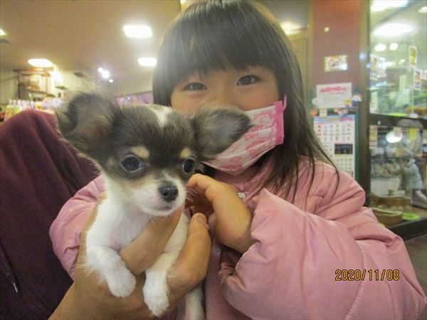 写真