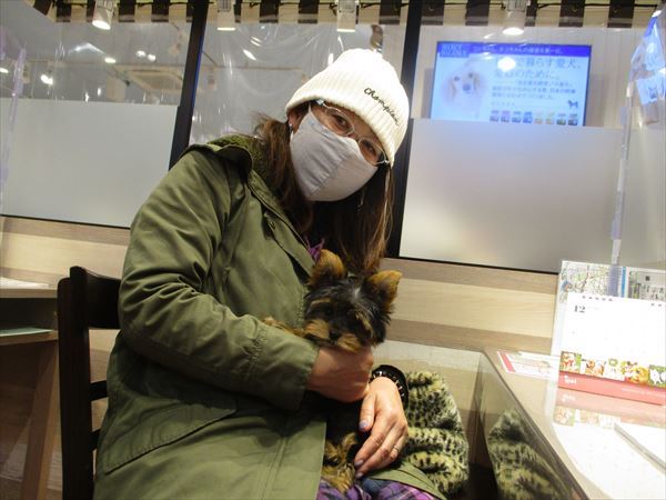 写真