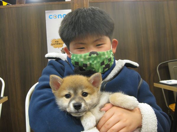 写真