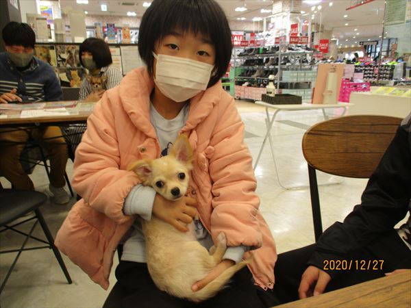 写真