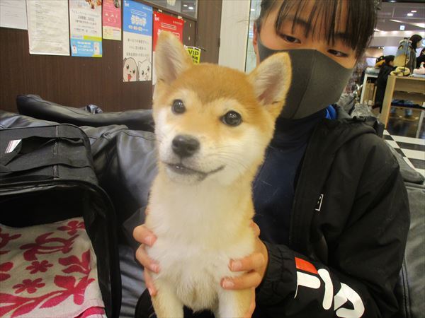 写真
