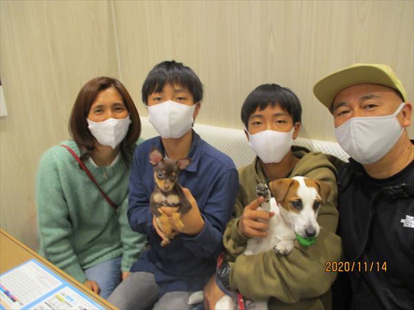 写真