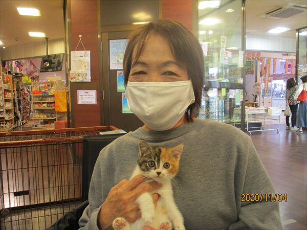 写真